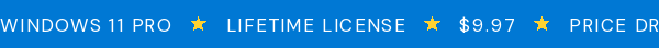Microsoft Windows 11 Pro