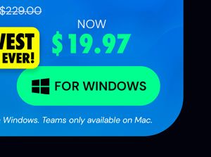 Microsoft Office Professional Plus 2019 for Windows | Lifetime License