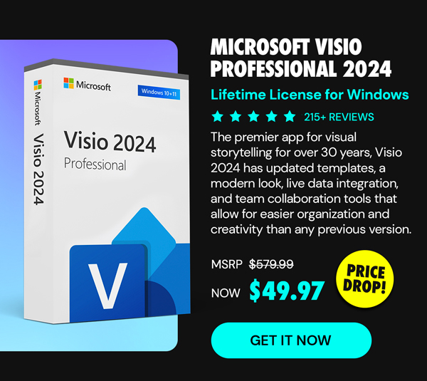 Microsoft Visio Professional 2024: Lifetime License for Windows