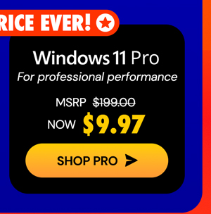 Microsoft Windows 11 Pro
