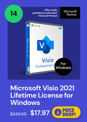 Microsoft Visio 2021 Professional: Lifetime License for Windows