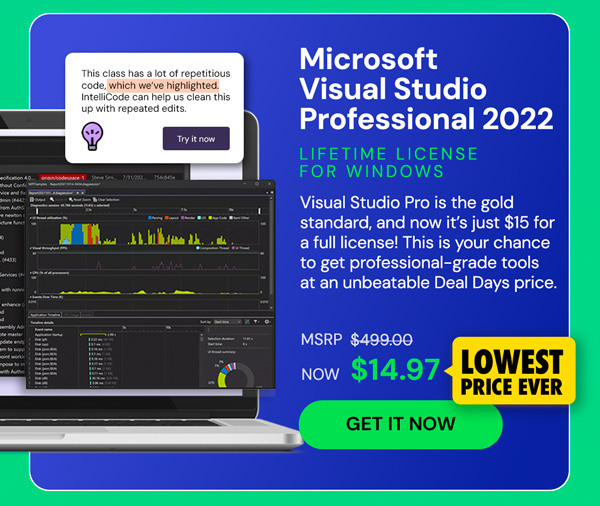 Microsoft Visual Studio Professional 2022 for Windows