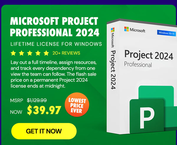 Microsoft Project Professional 2024: Lifetime License for Windows