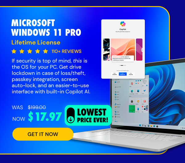 Microsoft Windows 11 Pro