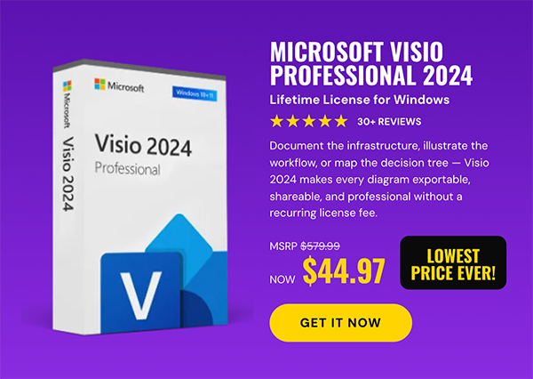 Microsoft Visio Professional 2024: Lifetime License for Windows