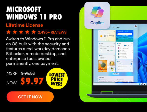 Microsoft Windows 11 Pro