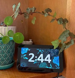Alexa+ is free with Prime. Here’s what you’re missing.