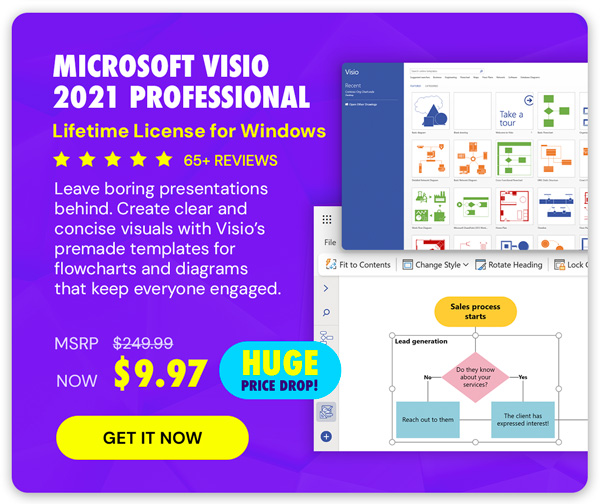 Microsoft Visio 2021 Professional: Lifetime License for Windows