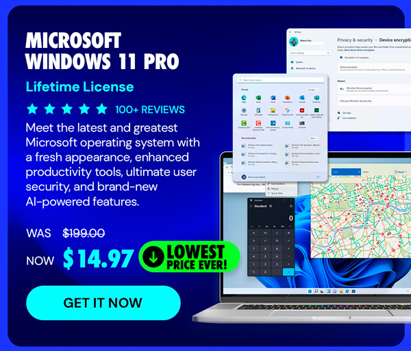 Microsoft Windows 11 Pro