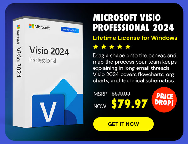 Microsoft Visio Professional 2024: Lifetime License for Windows
