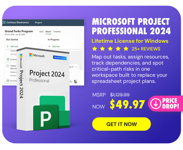 Microsoft Project Professional 2024: Lifetime License for Windows