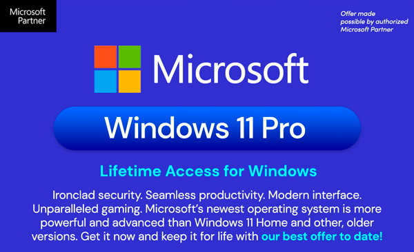 Microsoft Windows 11 Pro