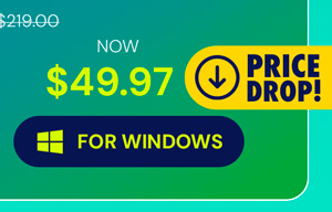 Microsoft Office Professional 2021 for Windows: Lifetime License