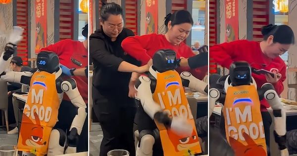 Robot goes berserk in California restaurant, dragged away by staff after smashing tableware | Futurism