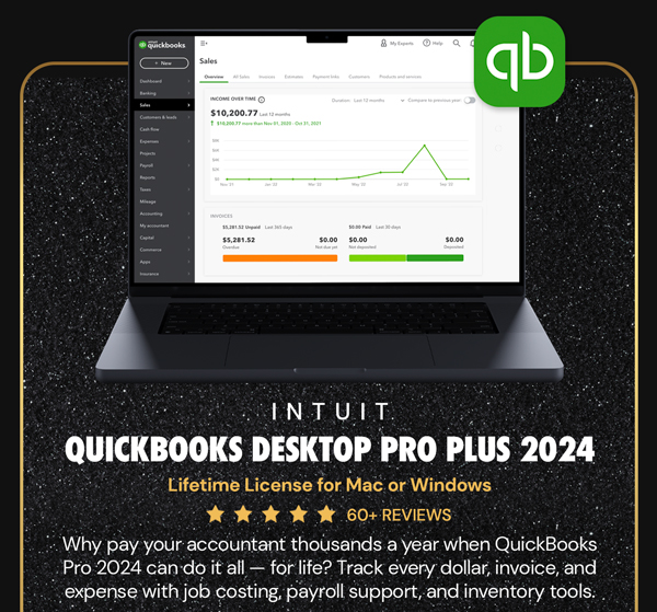 Intuit QuickBooks Desktop Pro Plus 2024 (1 User): Lifetime License
