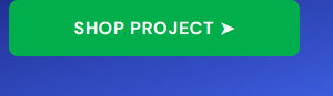 Microsoft Visio or Project 2024 Professional: Lifetime License for Windows