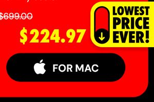 Intuit QuickBooks Desktop Pro Plus 2024 (1 User): Lifetime License