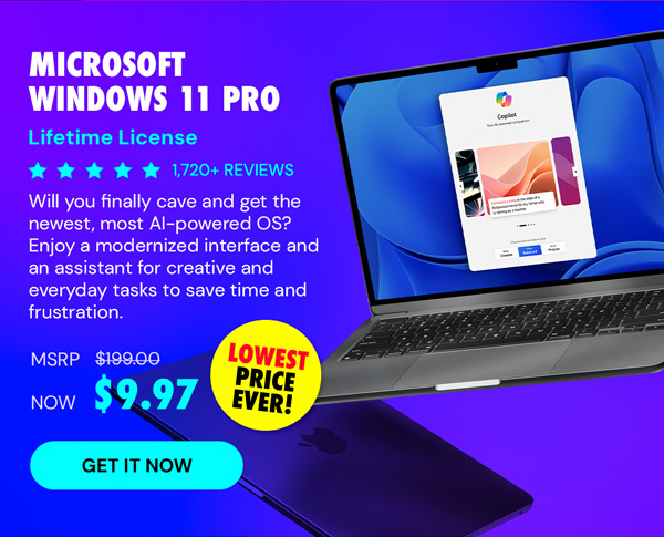 Microsoft Windows 11 Pro