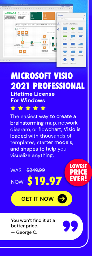 Microsoft Visio 2021 Professional for Windows