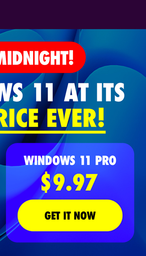 Microsoft Windows 11 Pro