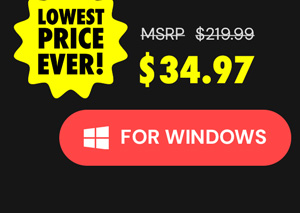 Microsoft Office Professional 2021 for Windows: Lifetime License