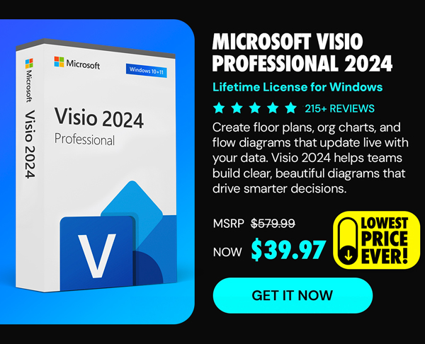 Microsoft Visio Professional 2024: Lifetime License for Windows