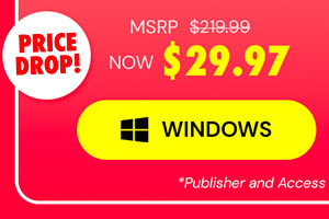 Microsoft Office Professional 2021 for Windows: Lifetime License