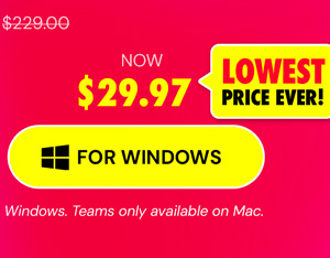 Microsoft Office Professional Plus 2019 for Windows