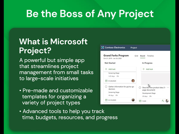 Microsoft Project 2021 Professional (PC)