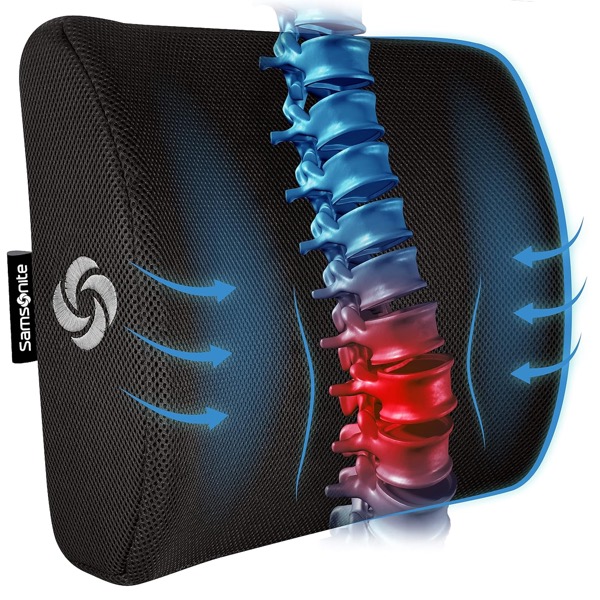 Samsonite Lumbar Support Back Cushion