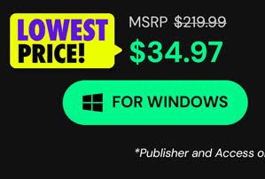 Microsoft Office Professional 2021 for Windows: Lifetime License