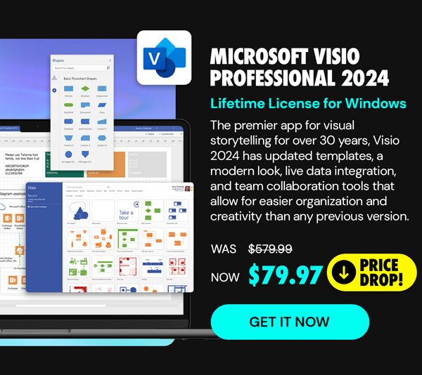 Microsoft Visio Professional 2024: Lifetime License for Windows