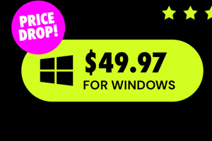 Microsoft Office Professional 2021 for Windows: Lifetime License