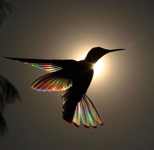 @unlimitedsunset on Instagram