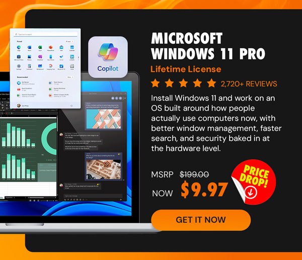 Microsoft Windows 11 Pro