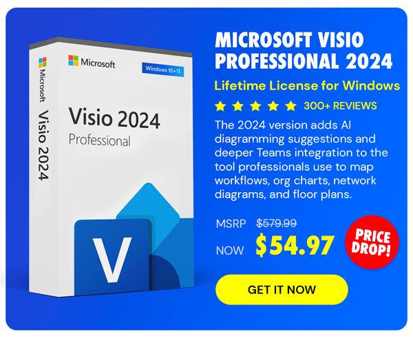 Microsoft Visio Professional 2024: Lifetime License for Windows