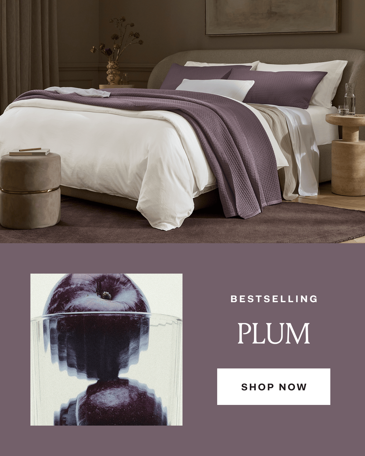 Bestselling PLUM - Shop Now