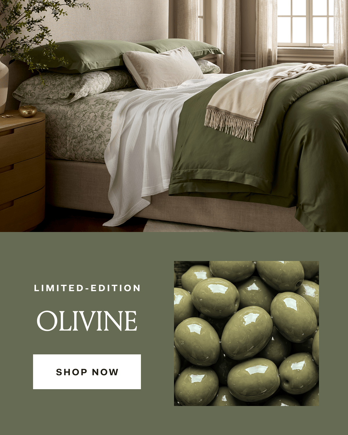 Limited-Edition OLIVINE Shop Now