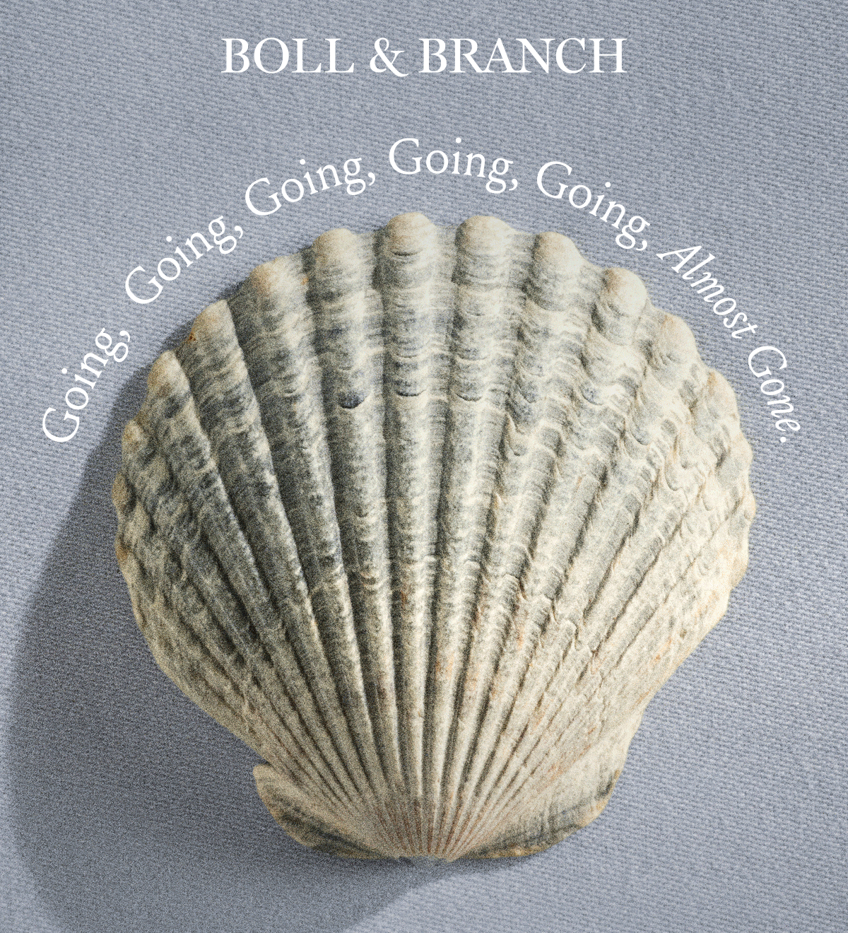 Boll & Branch