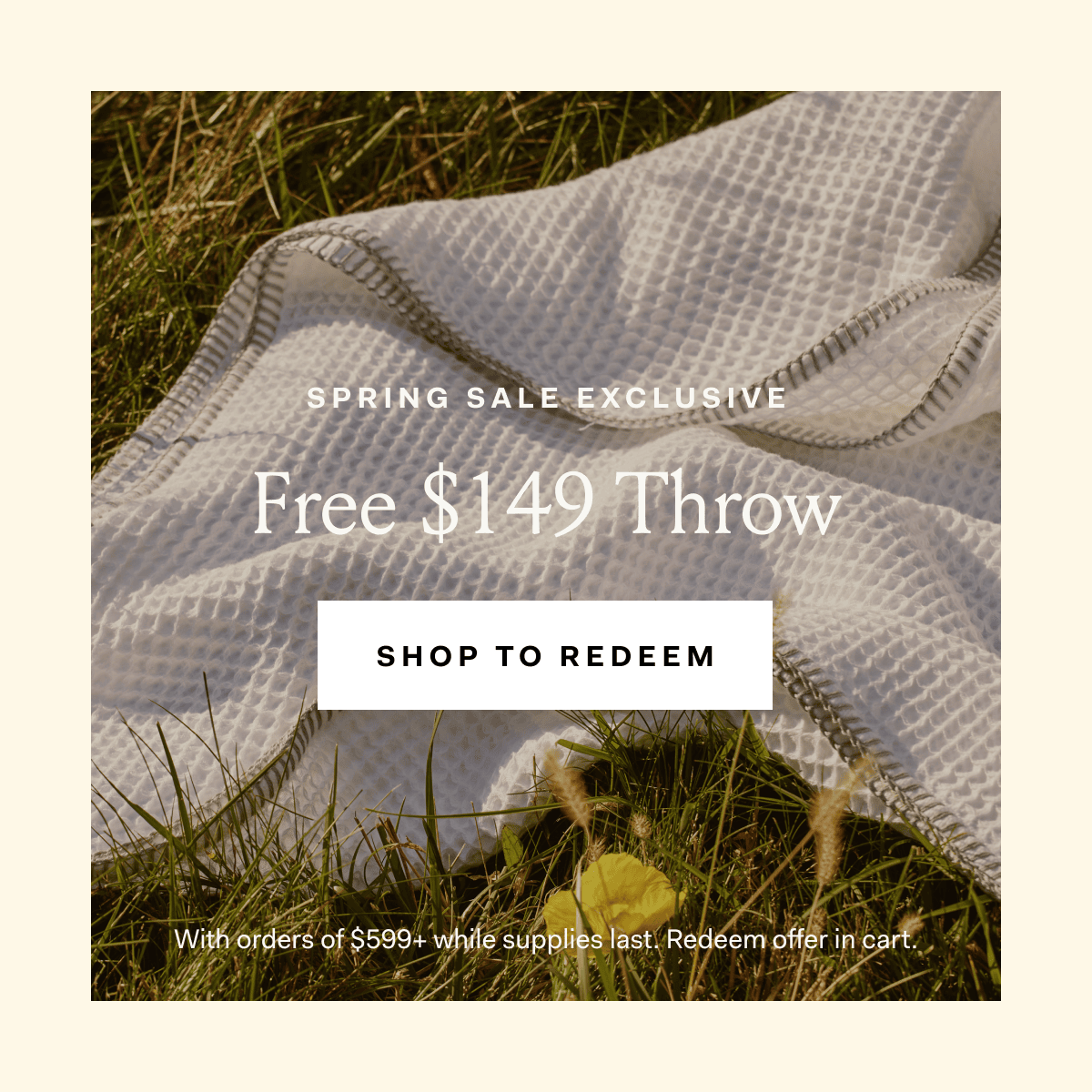 SPRING SALE EXCLUSIVE Free $149 throw SHOP TO REDEEM With orders of $599+ while supplies last. Redeem offer in cart.