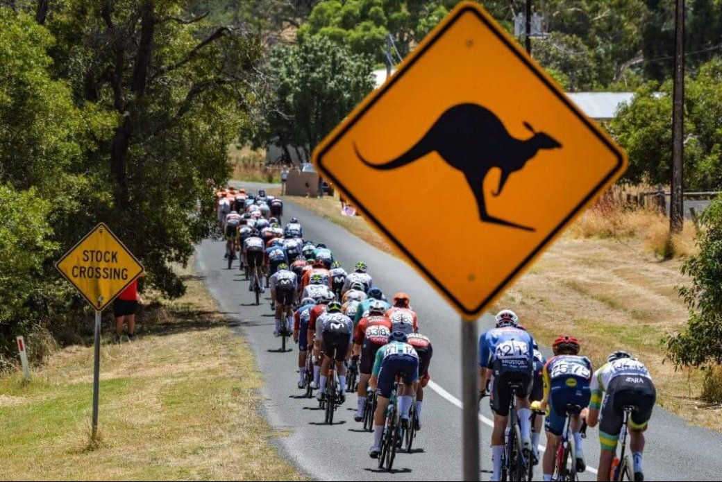 Jay Vine wins Tour Down Under after two kangaroos cause mass crash