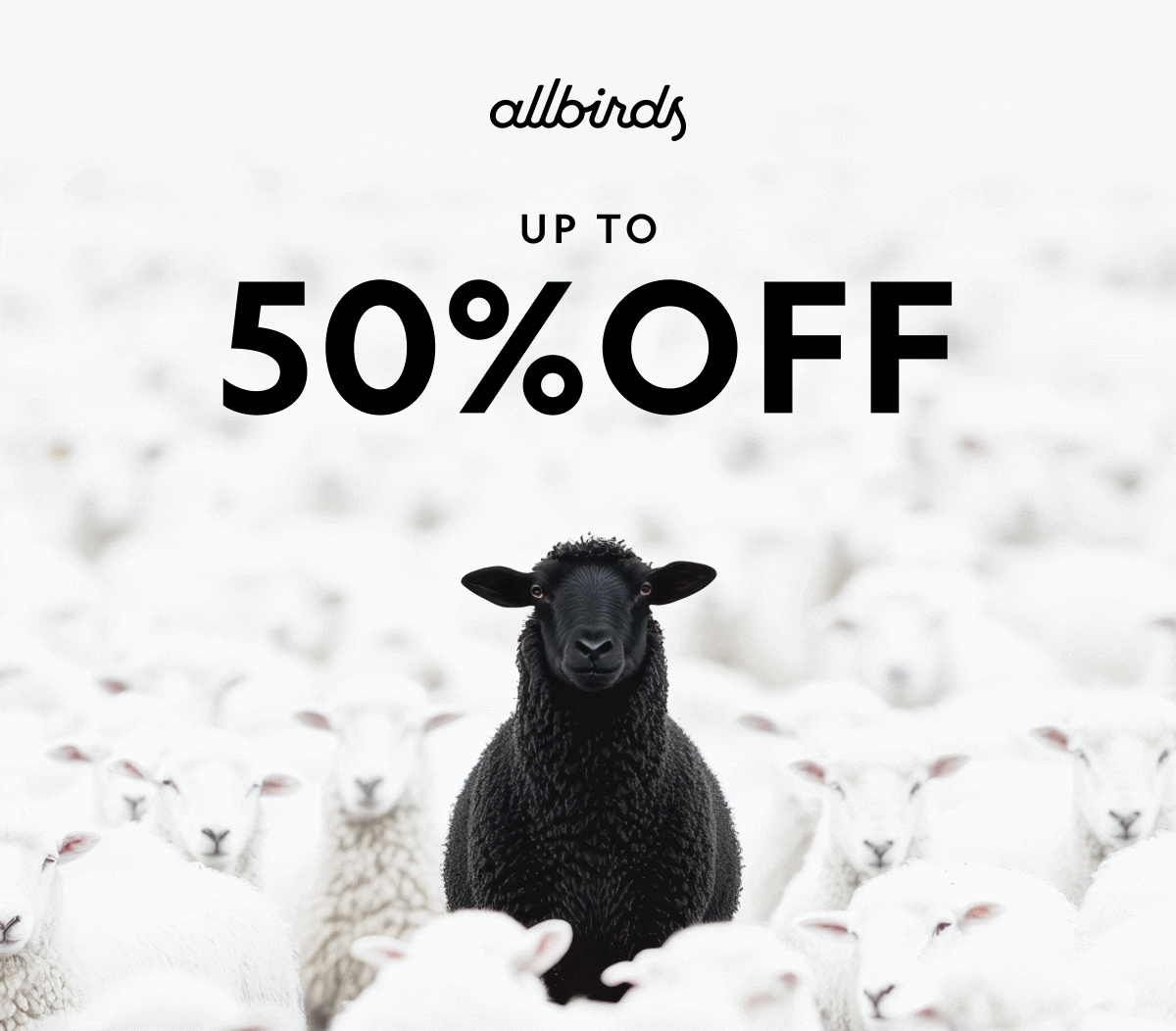 Cyber Monday Extended