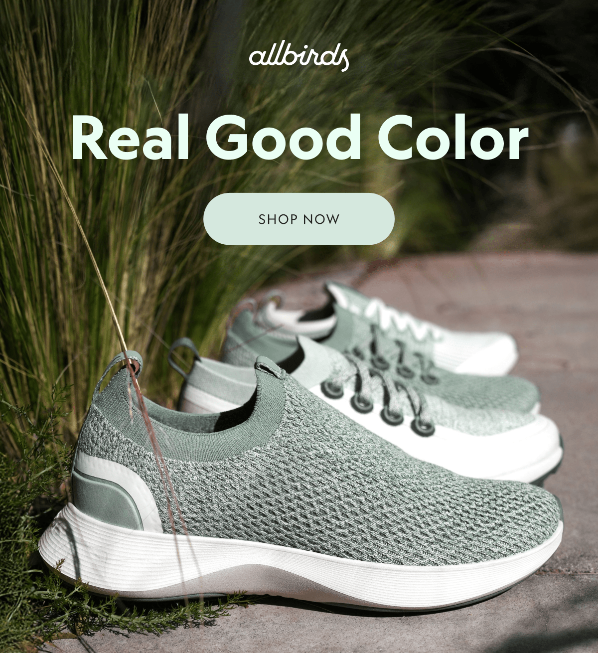 Real Good Color