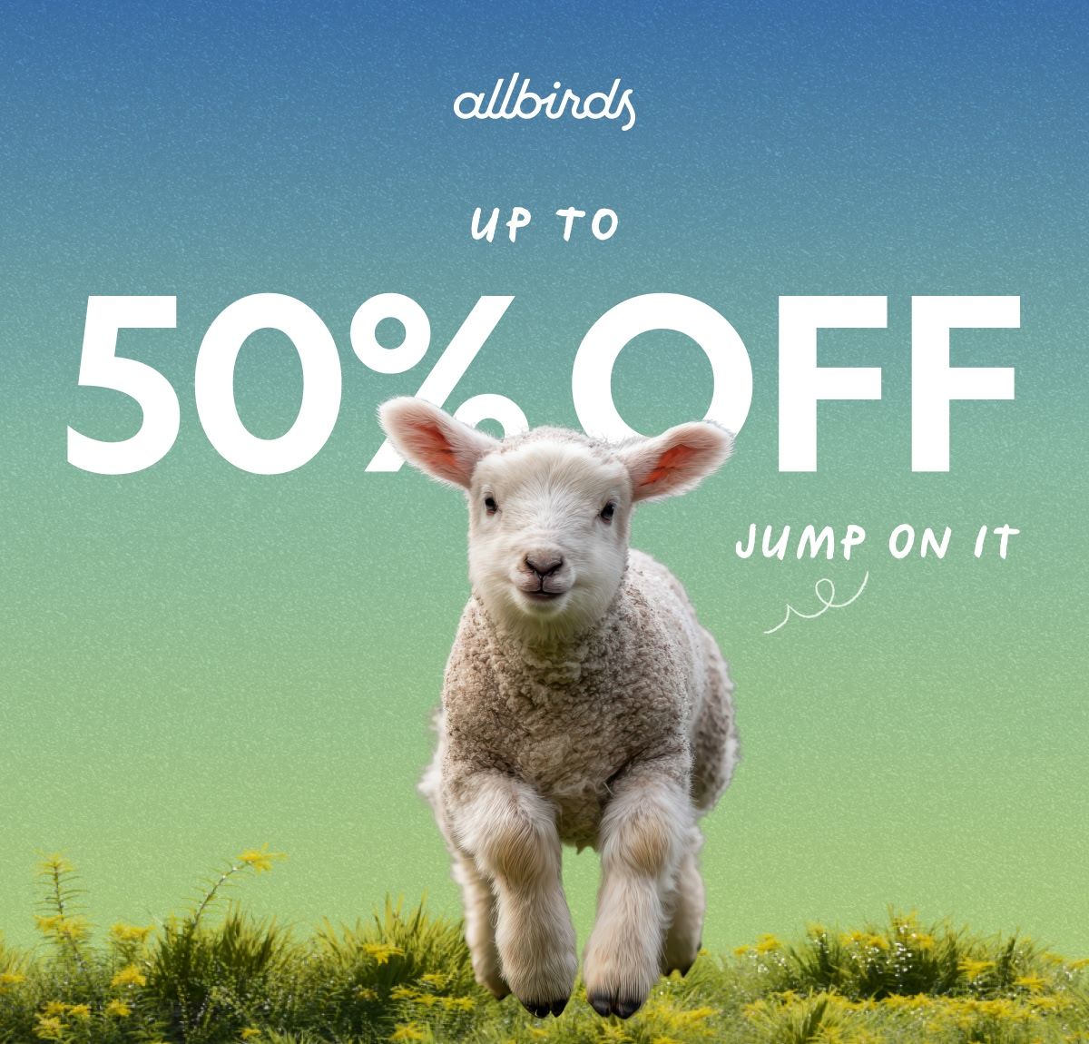 Up To 50% OFF