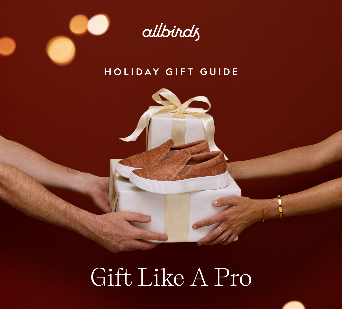 Holiday Gift Guide