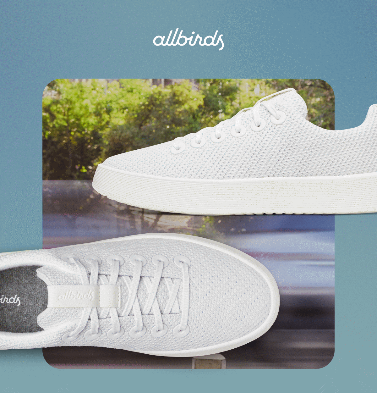 Allbirds - Cruiser