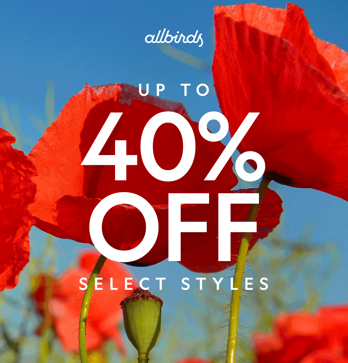Memorial Day Promo