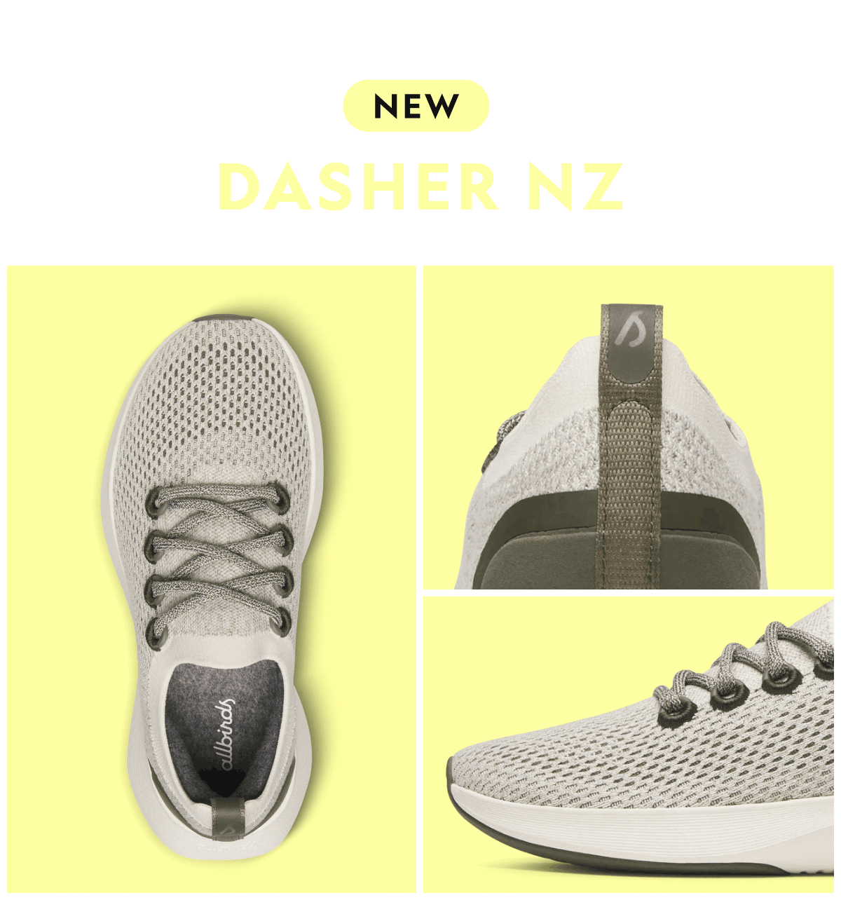 Dasher NZ