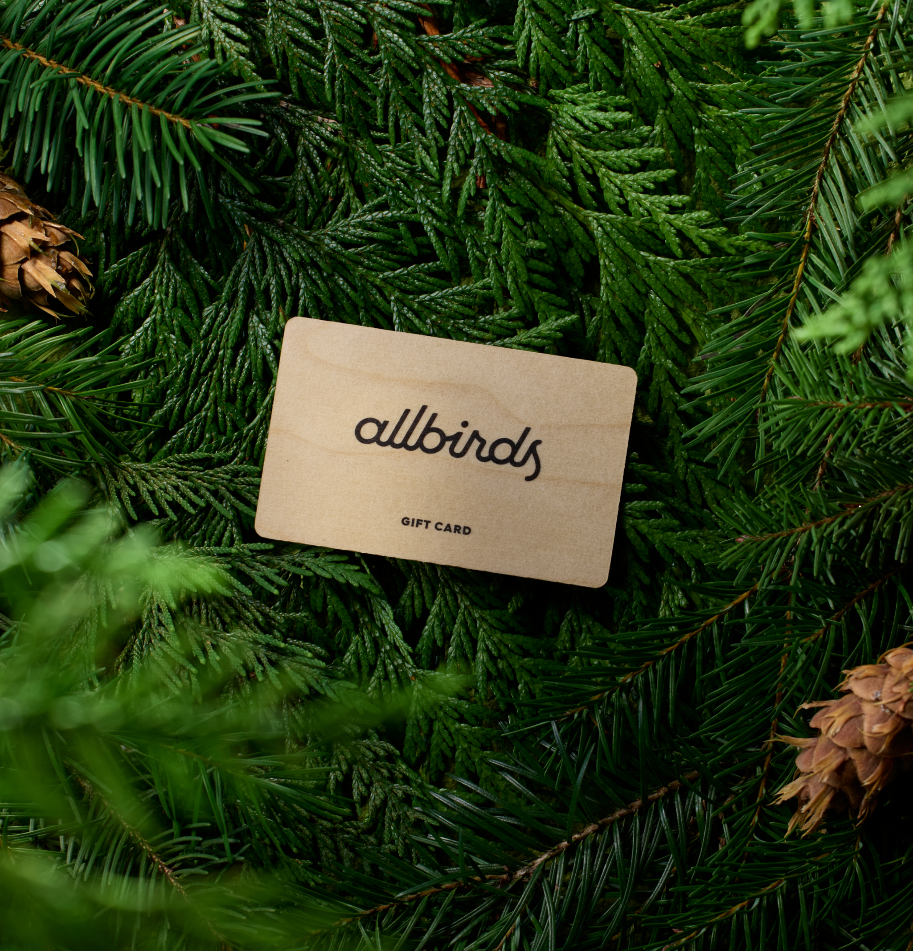 Allbirds Tree Runner Go