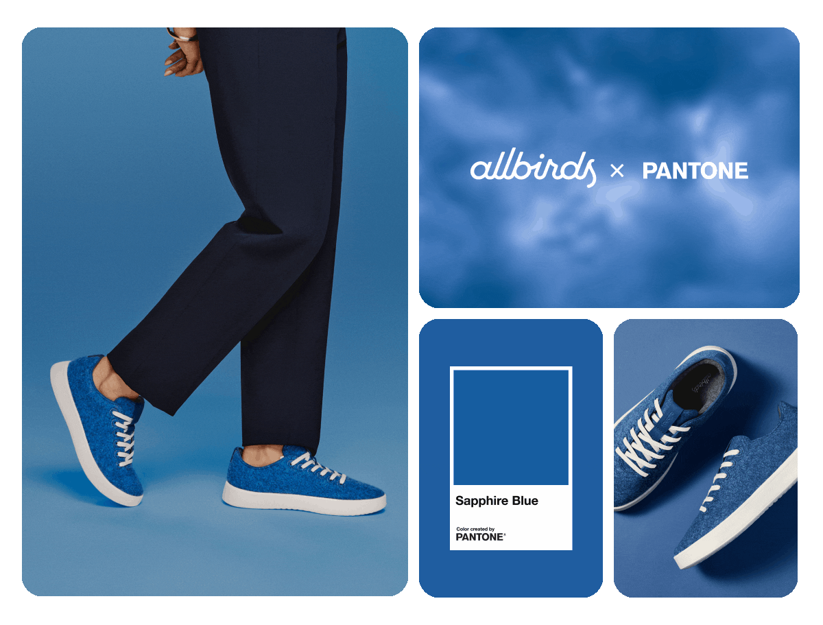 The Wool Cruiser Collection